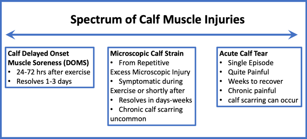 Illustration of the Spectrum of Calf Muscle Injuries from delayed onset muscle soreness to calf tear