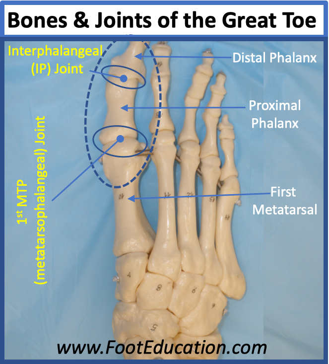 Stubbed Great Toe - FootEducation